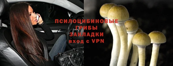 таблы Алзамай