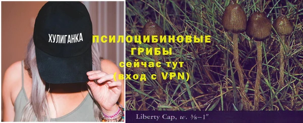 таблы Алзамай
