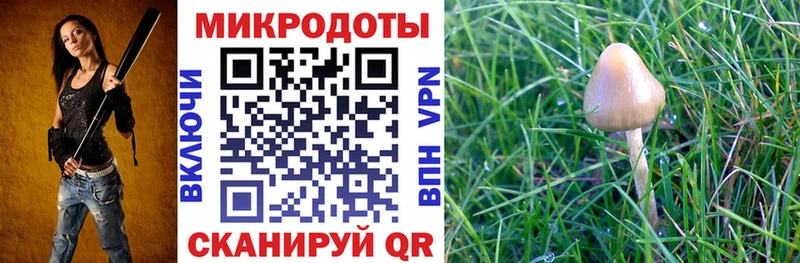 Псилоцибиновые грибы Psilocybe где найти наркотики Коркино