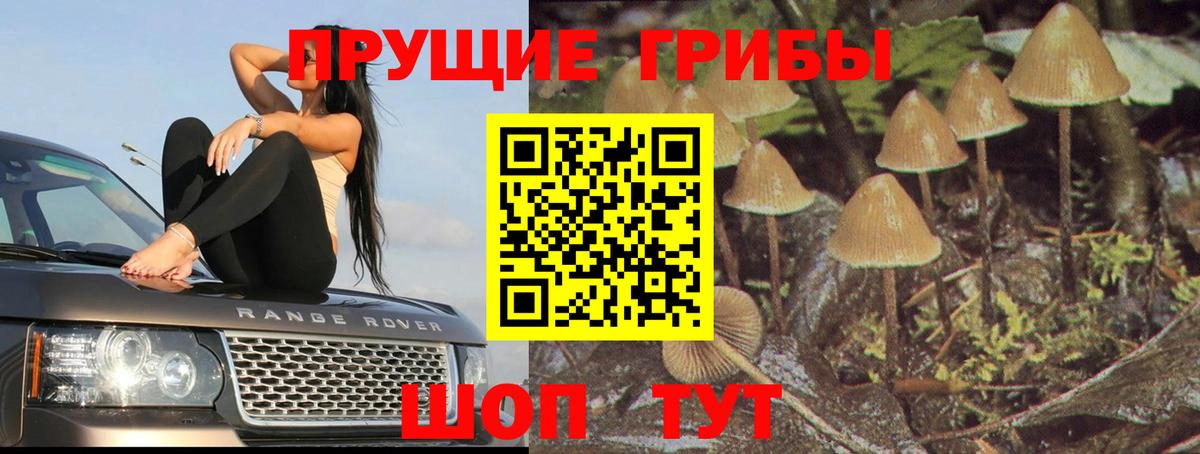 наркошоп  Галлюциногенные грибы GOLDEN TEACHER  Вход с VPN  Псилоцибиновые грибы Psilocybine cubensis  Коркино 